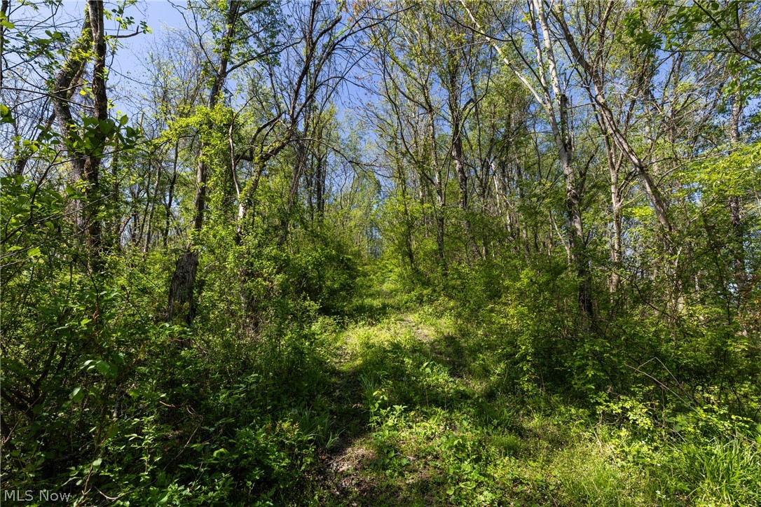 55844 T 132 Powhatan Point OH 43942