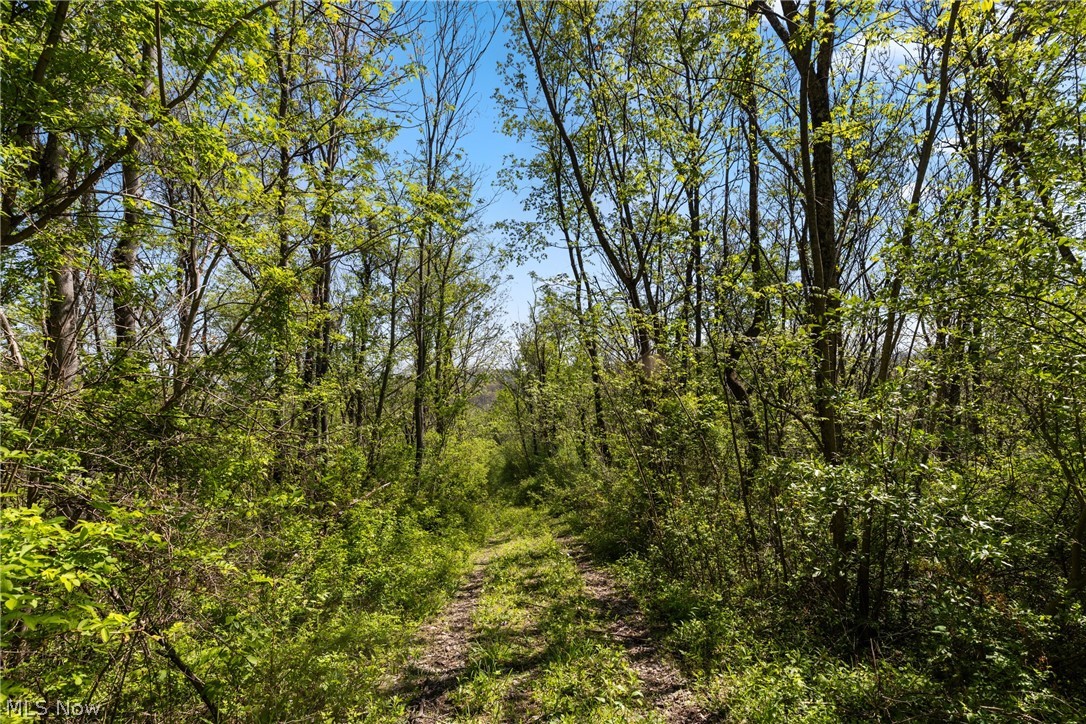 55844 T 132 Powhatan Point OH 43942
