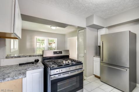 233 Sobul Avenue Akron OH 44305