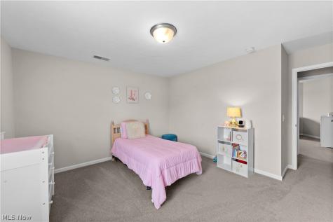 8949 Larkspur Drive Columbia Station OH 44028