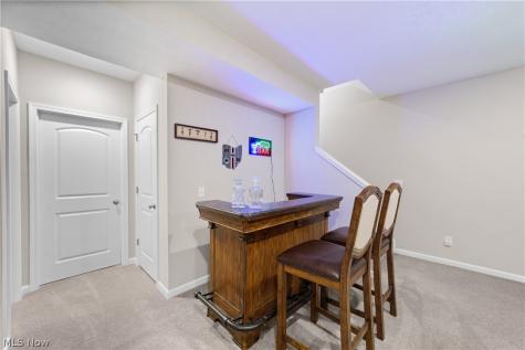 8949 Larkspur Drive Columbia Station OH 44028