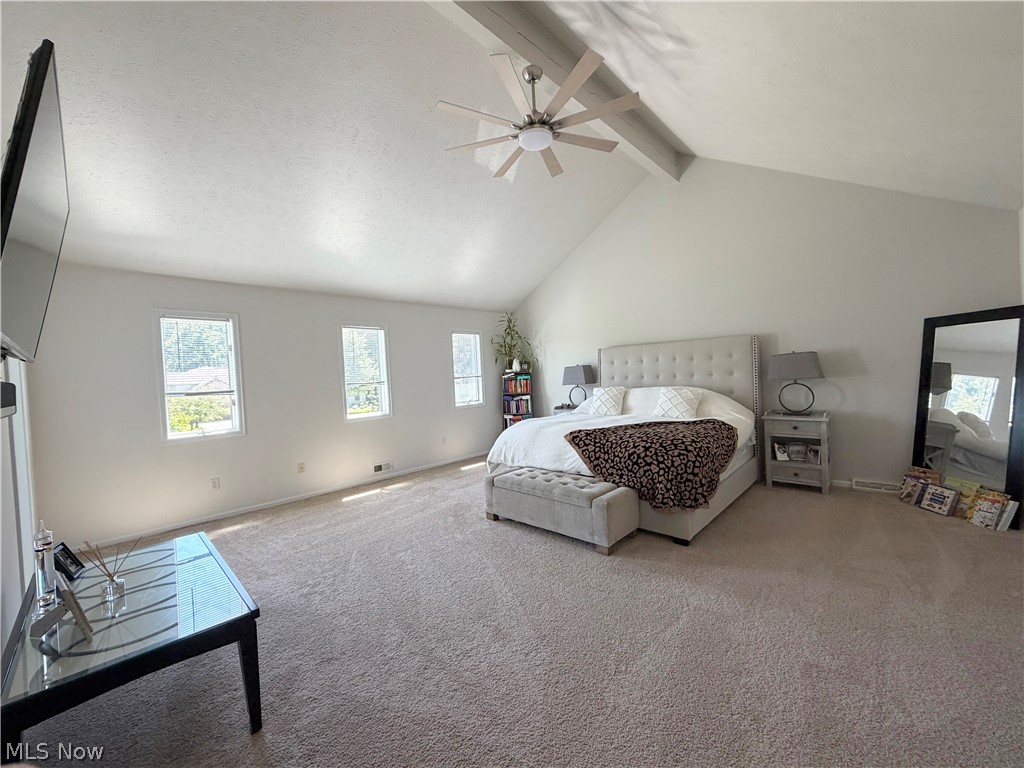 608 Dewitt Drive Highland Heights OH 44143