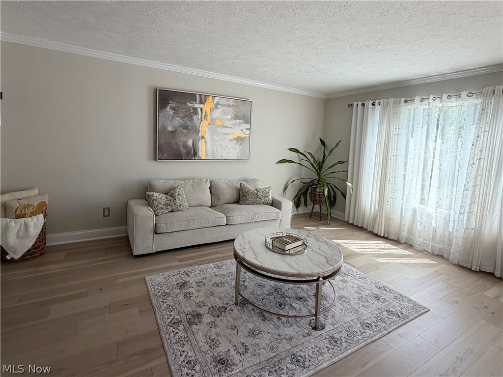 608 Dewitt Drive Highland Heights OH 44143