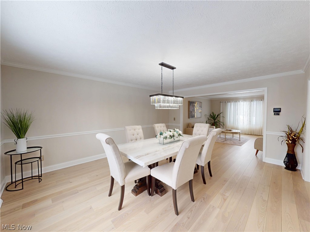 608 Dewitt Drive Highland Heights OH 44143