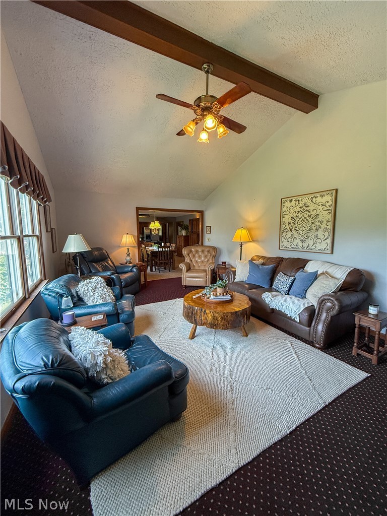 6660 Killdeer Drive Canfield OH 44406