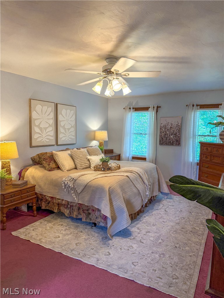 6660 Killdeer Drive Canfield OH 44406