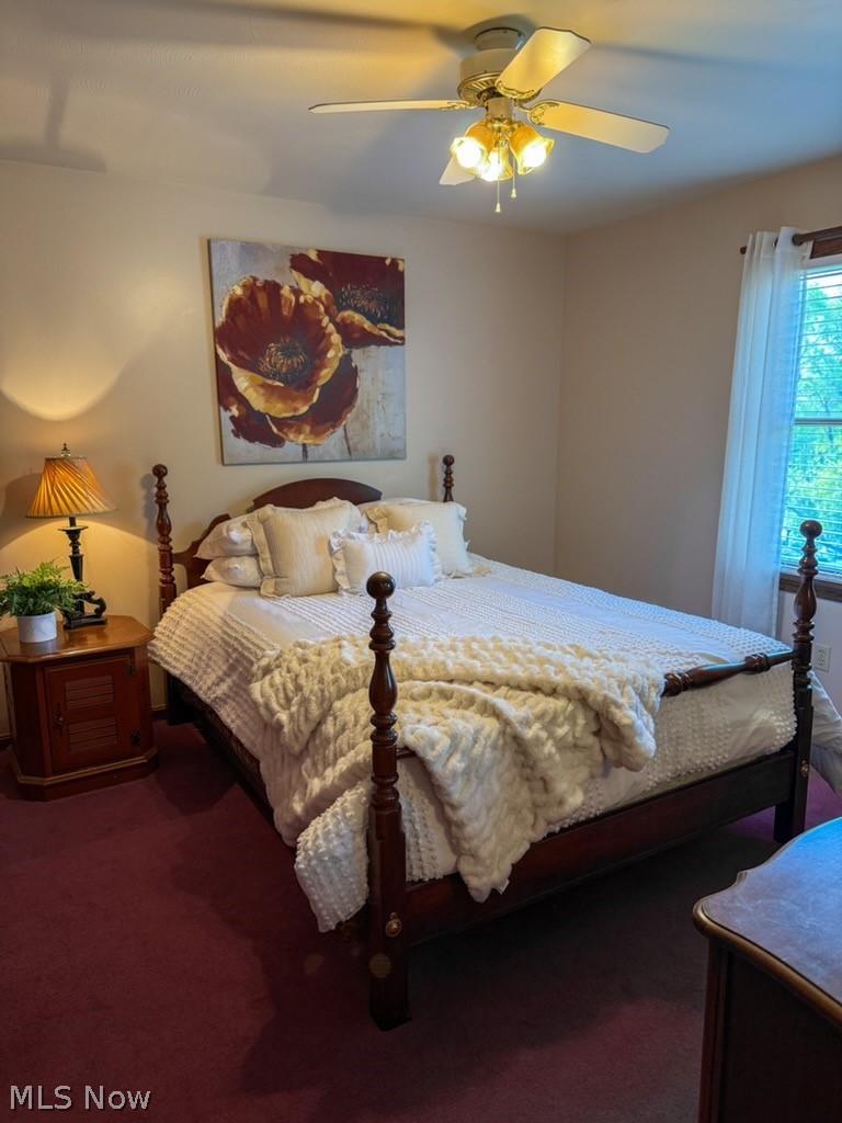 6660 Killdeer Drive Canfield OH 44406