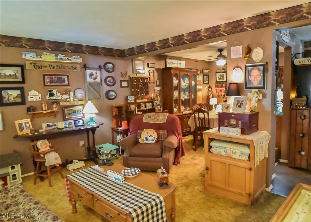 347 Townmill Court Painesville OH 44077