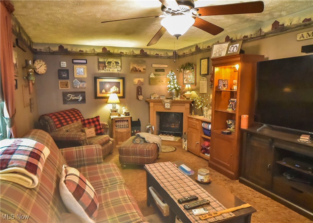 347 Townmill Court Painesville OH 44077