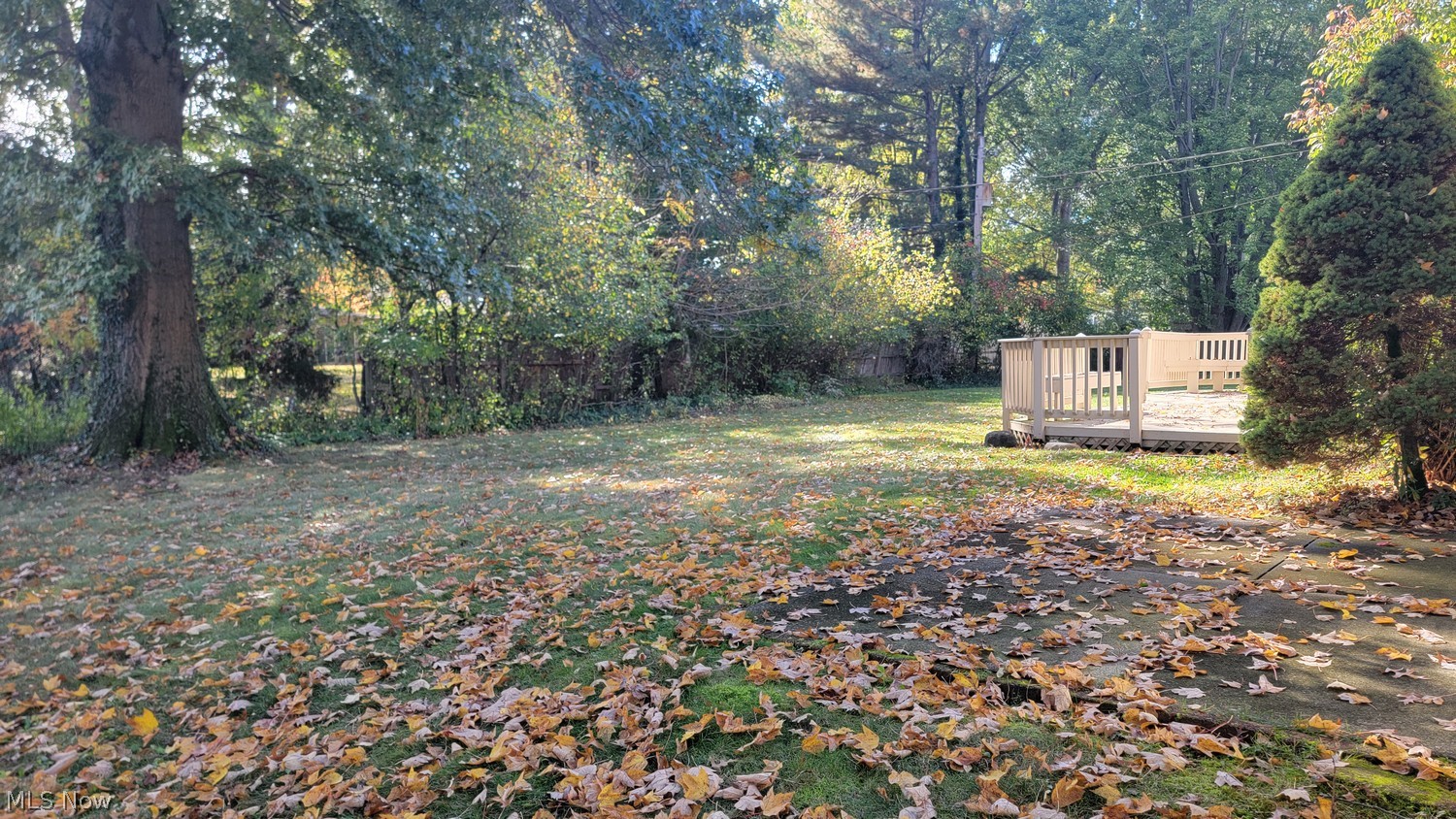 27407 Blossom Boulevard North Olmsted OH 44070