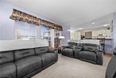 3950 Martins Run Drive Lorain OH 44053
