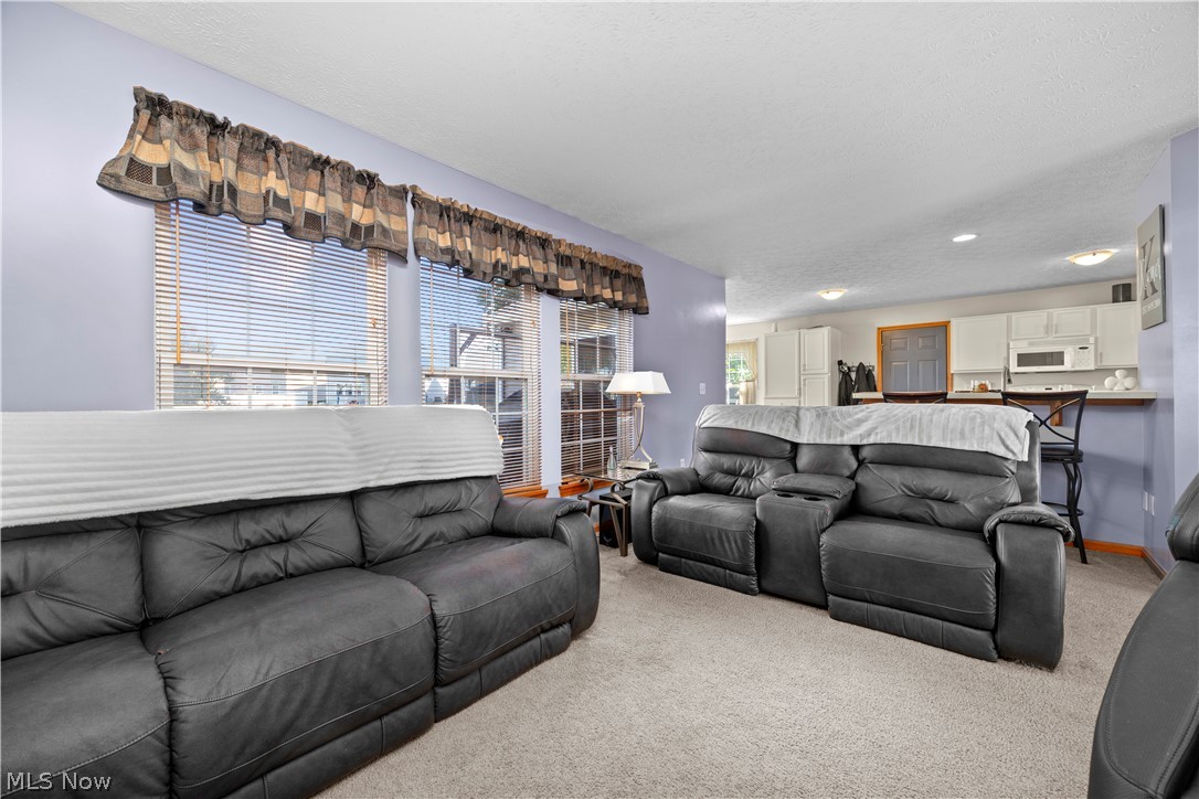 3950 Martins Run Drive Lorain OH 44053