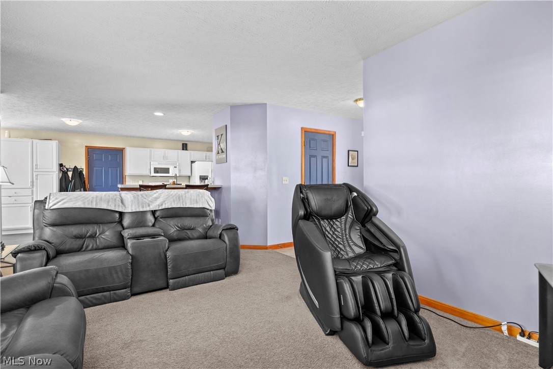 3950 Martins Run Drive Lorain OH 44053