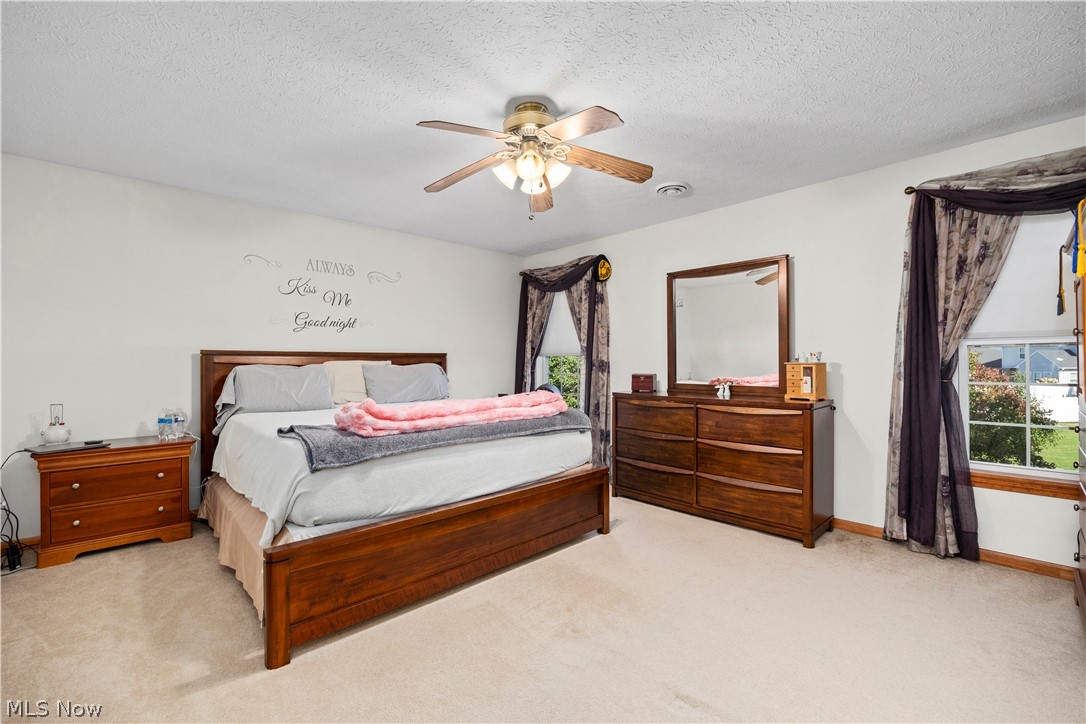 3950 Martins Run Drive Lorain OH 44053