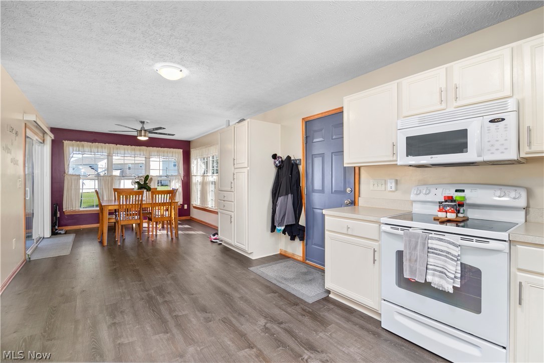 3950 Martins Run Drive Lorain OH 44053