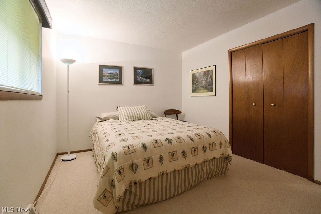 492 Jeannette Drive Richmond Heights OH 44143