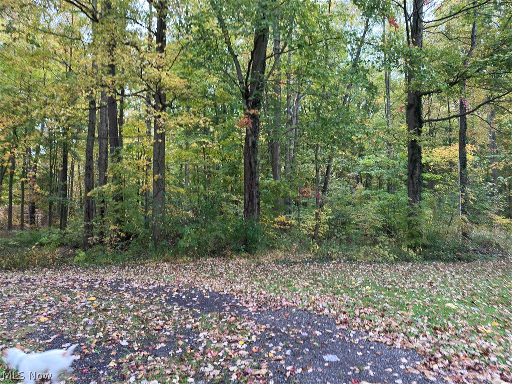 7193 Woodard Road Andover OH 44003