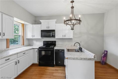 1328 Ethel Avenue Lakewood OH 44107