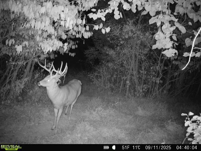 35447 County Road 99 Warsaw OH 43844