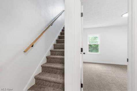 1146 Packard Drive Akron OH 44320