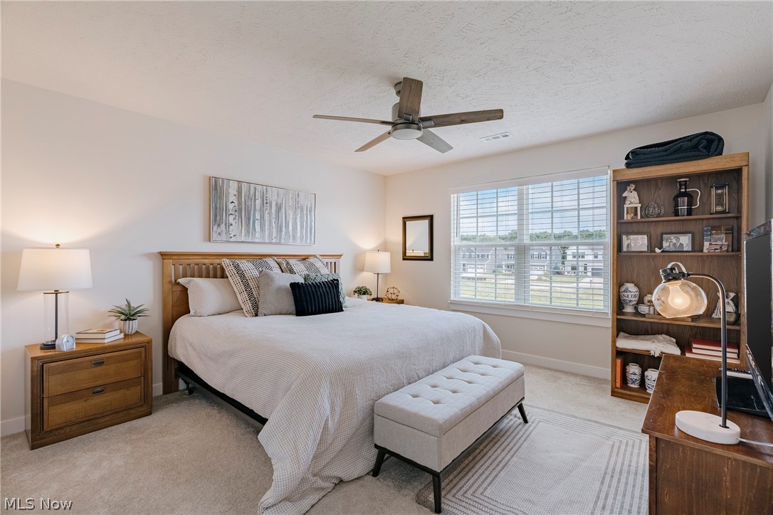 23558 Daisey Drive Columbia Station OH 44028