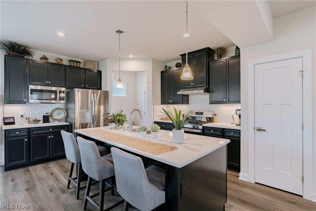 23558 Daisey Drive Columbia Station OH 44028