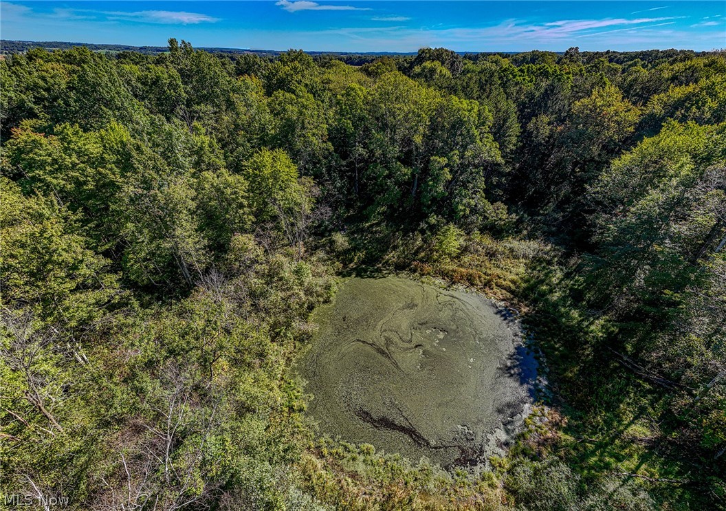 1909 State Route 170 East Palestine OH 44413