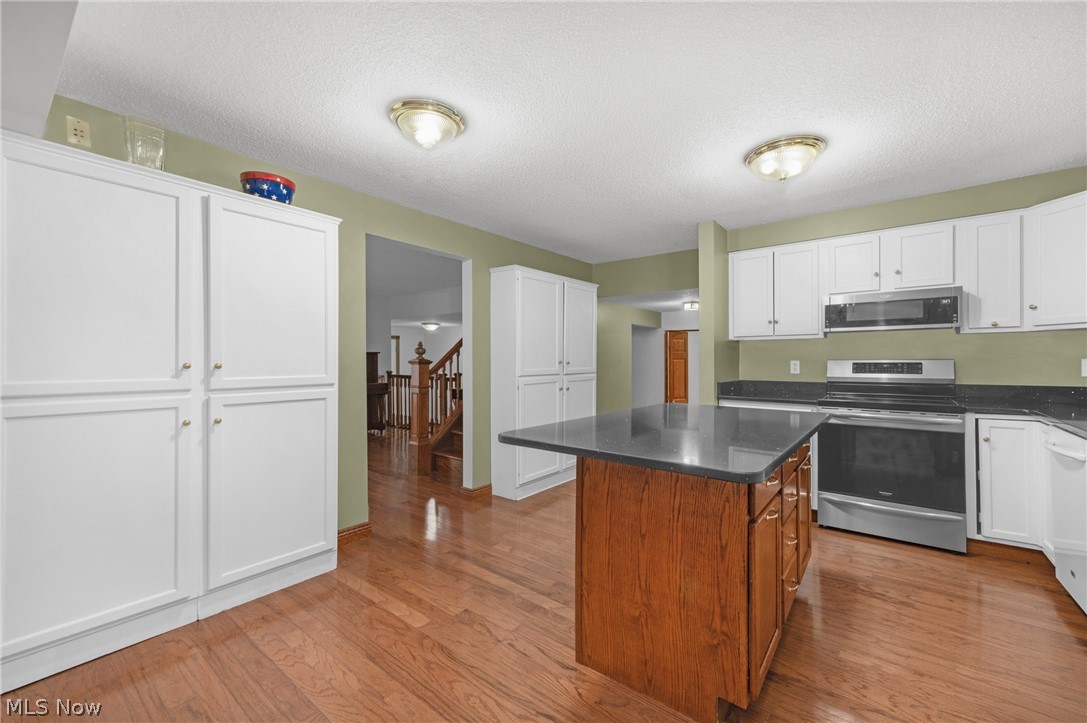 1470 Hawthorne Drive Vermilion OH 44089