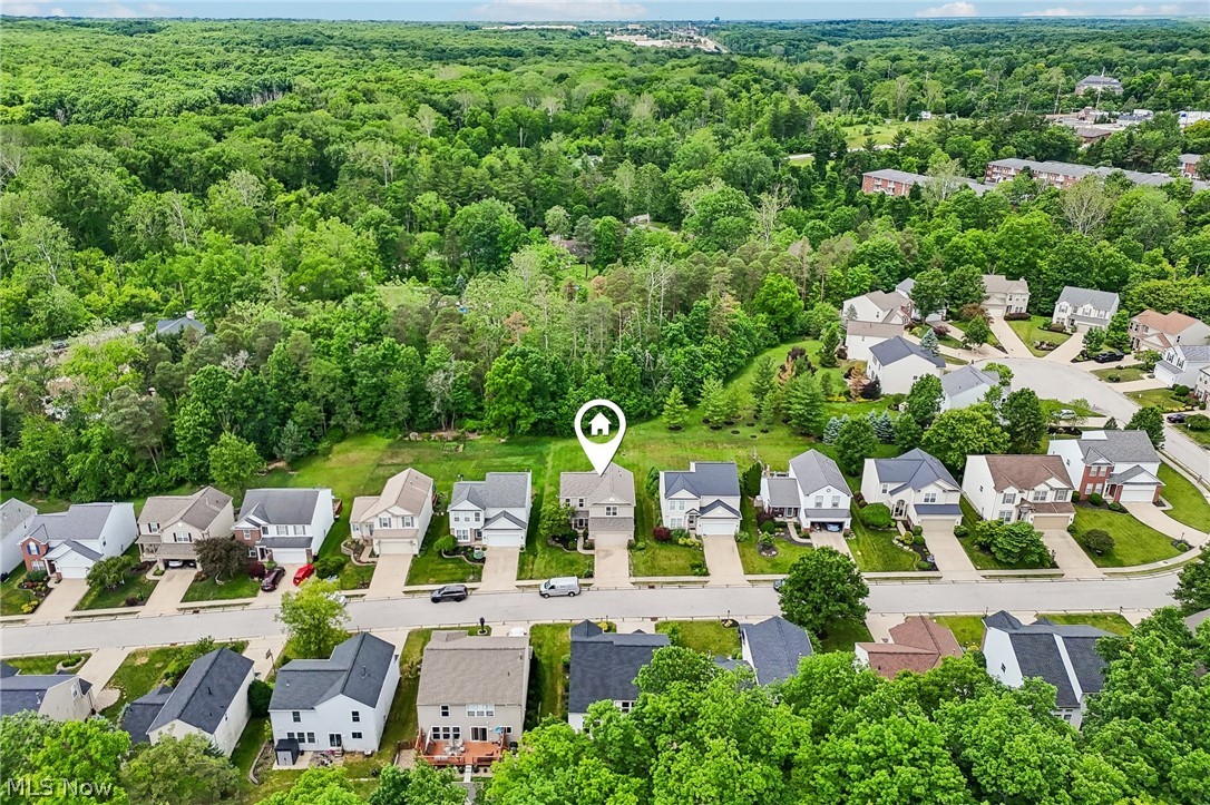 14824 Thornton Drive North Royalton OH 44133
