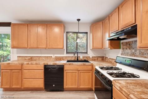 10472 Woodchuck Court Twinsburg OH 44087
