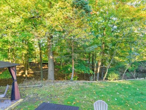 10472 Woodchuck Court Twinsburg OH 44087