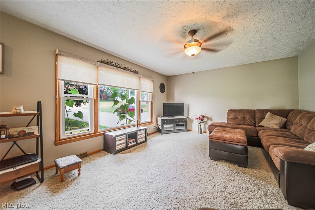 14104 Nussbaum Road Dalton OH 44618