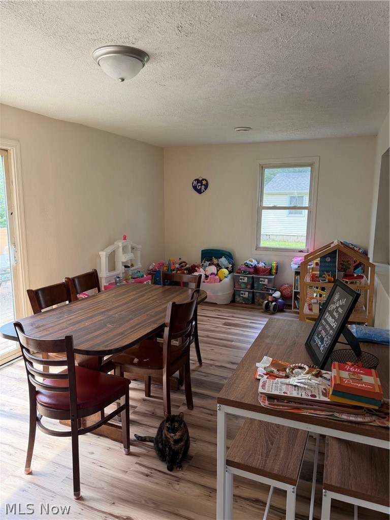 4421 Meadowbrook Drive Leavittsburg OH 44430