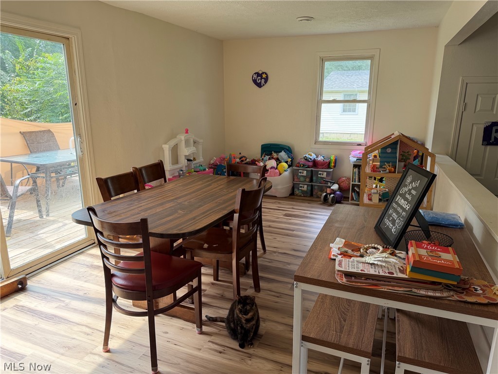 4421 Meadowbrook Drive Leavittsburg OH 44430