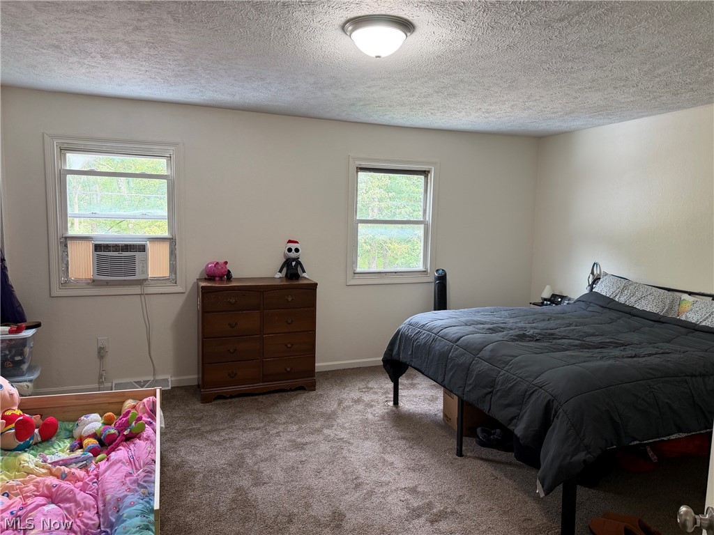 4421 Meadowbrook Drive Leavittsburg OH 44430