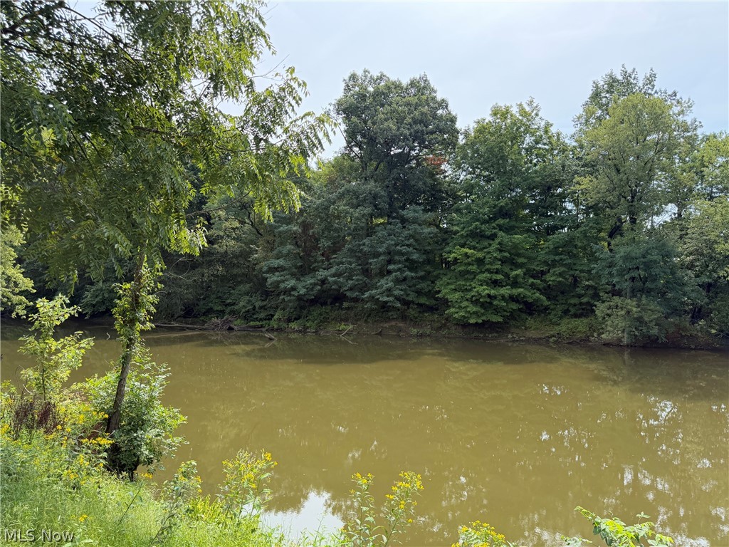 4421 Meadowbrook Drive Leavittsburg OH 44430