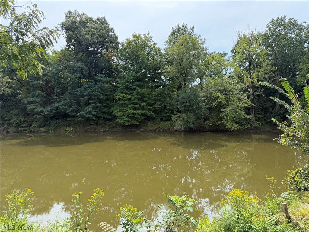 4421 Meadowbrook Drive Leavittsburg OH 44430