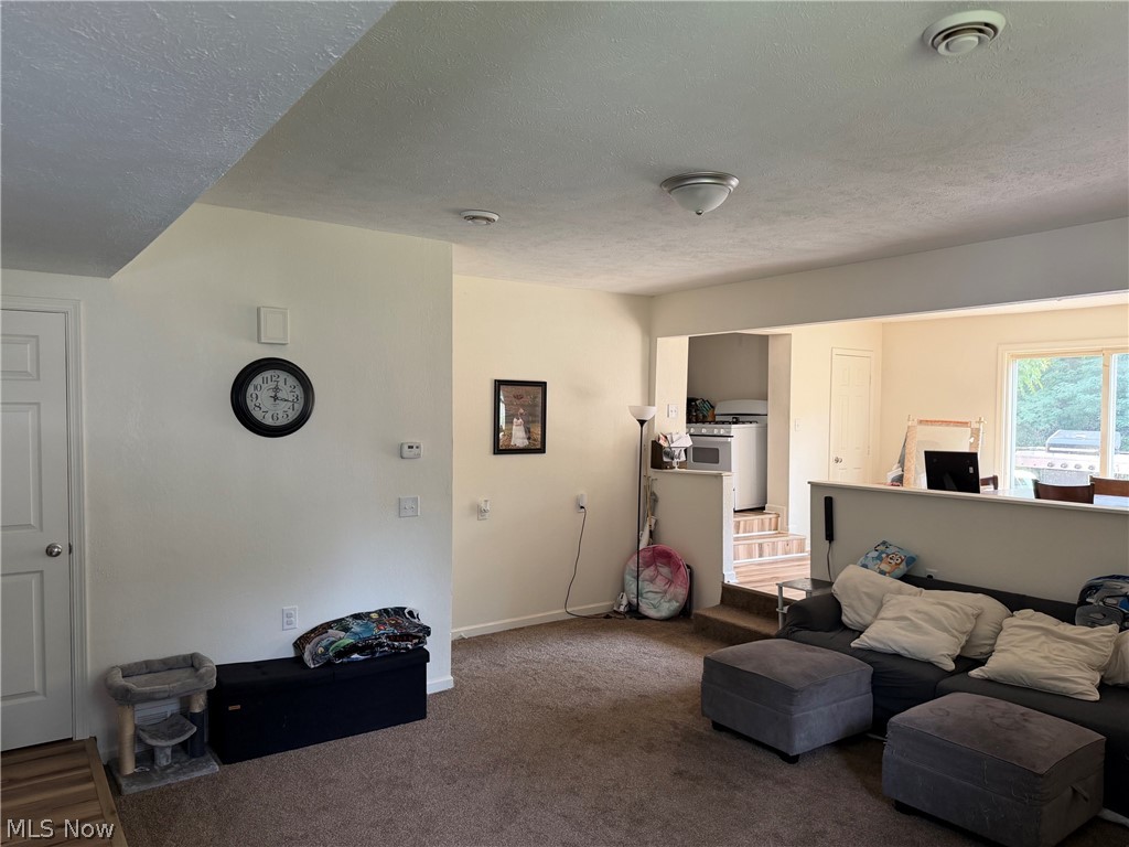 4421 Meadowbrook Drive Leavittsburg OH 44430