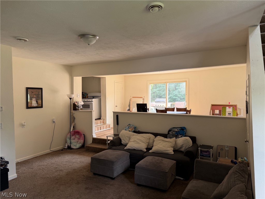 4421 Meadowbrook Drive Leavittsburg OH 44430
