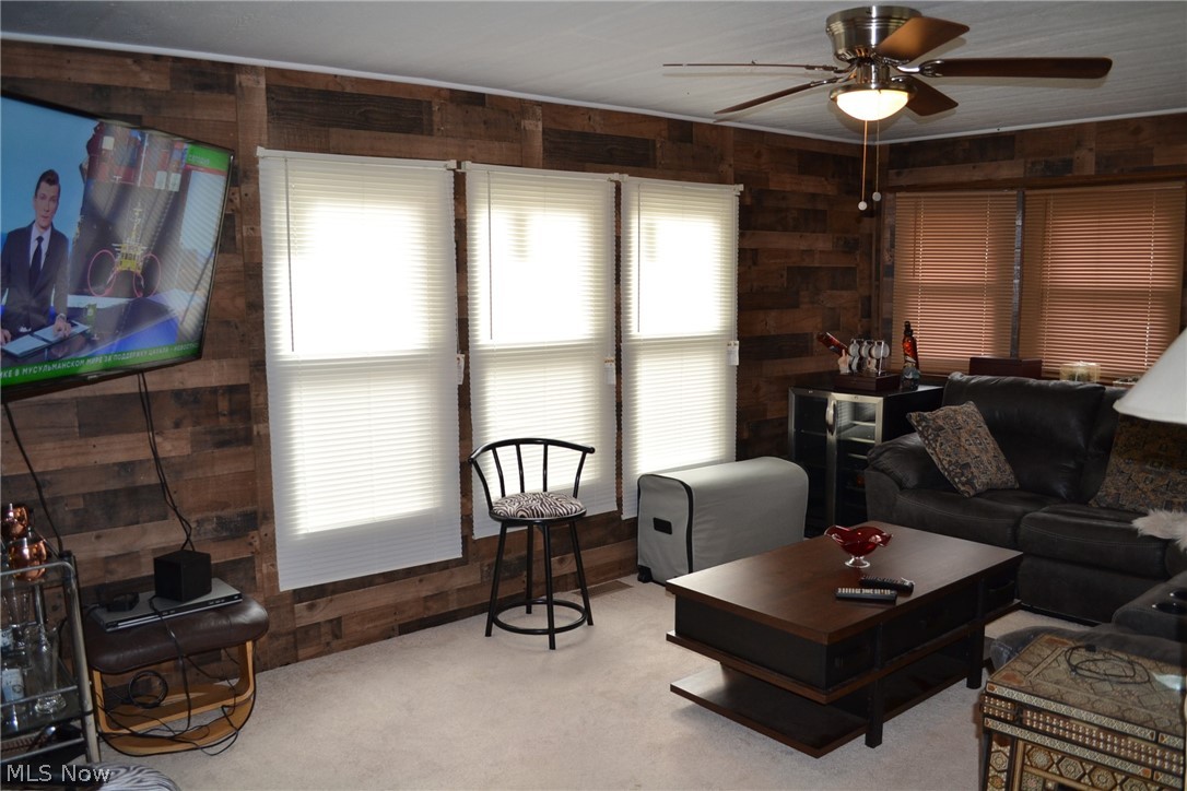 229 Lake Shore Terrace Warren OH 44481