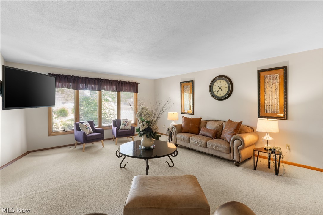 11950 Castleton Lane Grafton OH 44044