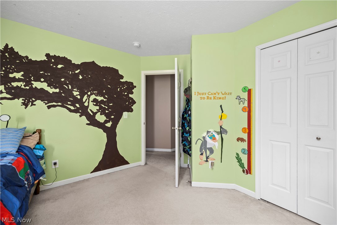 5297 Garfield Boulevard Sheffield Village OH 44054