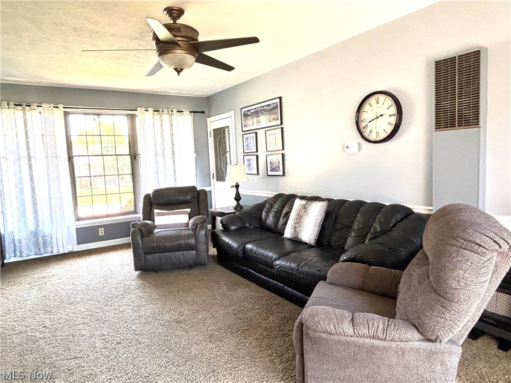 383 Edgewood Court Columbiana OH 44408