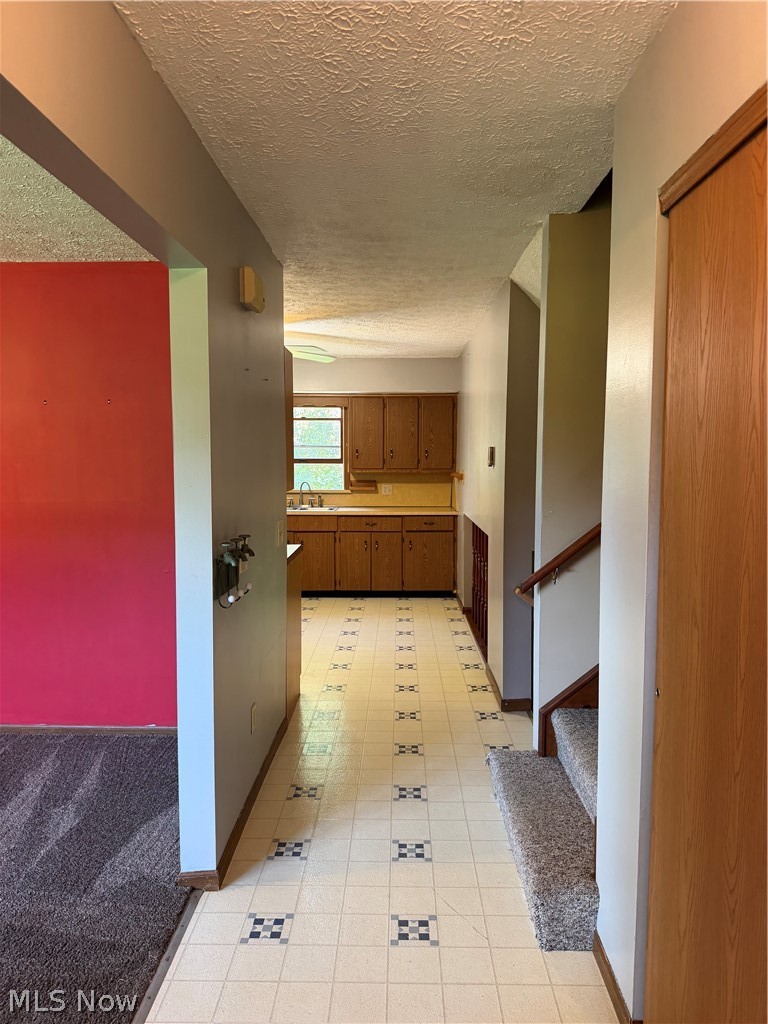 858 Township Road 875 Ashland OH 44805