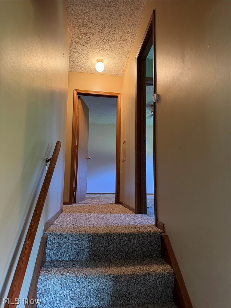 858 Township Road 875 Ashland OH 44805