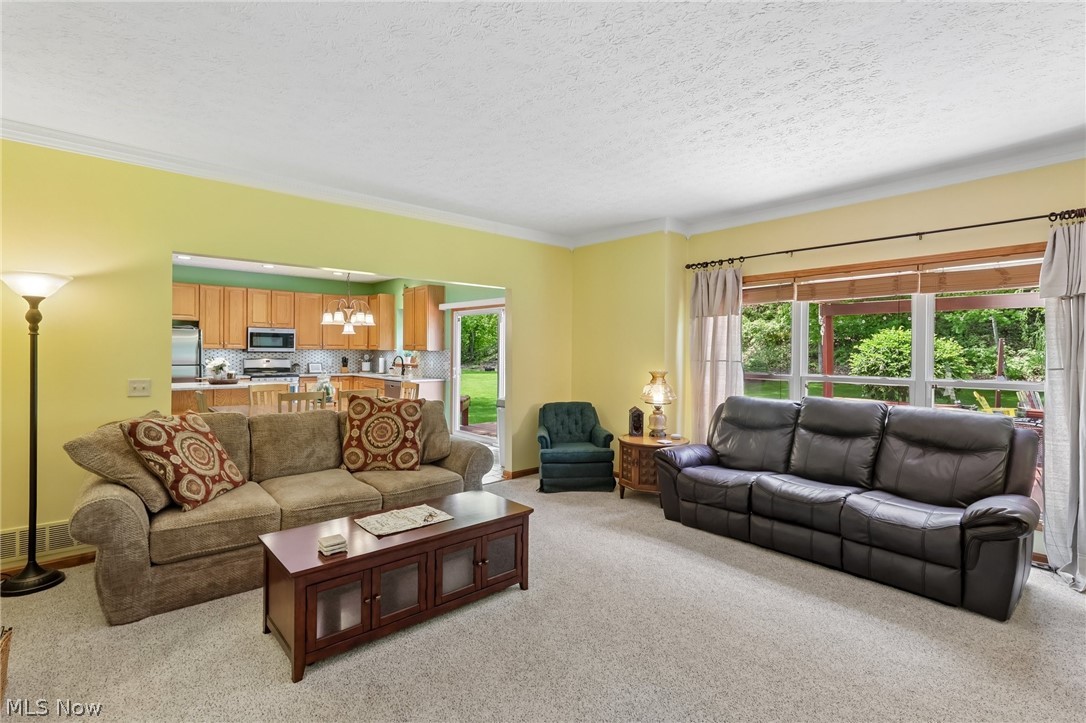 1250 Orchard Glen Drive Amherst OH 44001