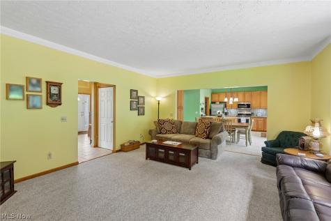 1250 Orchard Glen Drive Amherst OH 44001