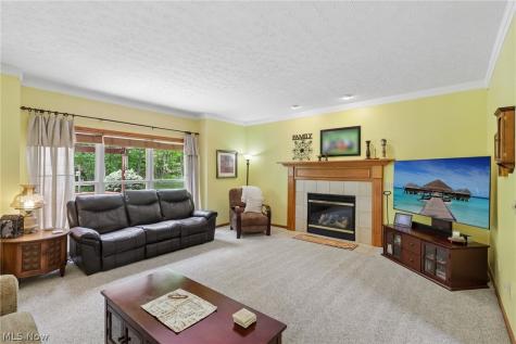 1250 Orchard Glen Drive Amherst OH 44001