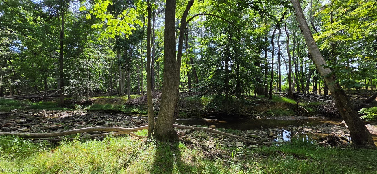 10017 W Ridgewood Drive Parma Heights OH 44130
