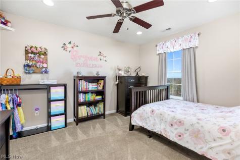 2664 Day Lily Lane Medina OH 44256